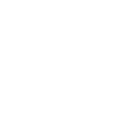 Voxel