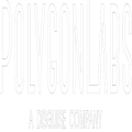 Polygon Labs