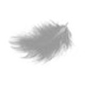 Feather
