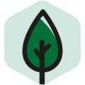 DHD Consulting