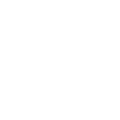 Gray Swan AI