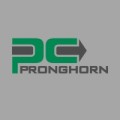 Pronghorn
