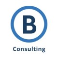 B Consulting