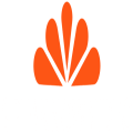 Speak Now Video