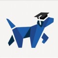 Dog Academy