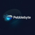 PebbleByte