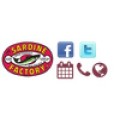 Sardine