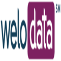 Welo Data