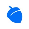 Blue Acorn iCi