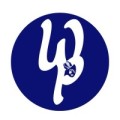 Wonton Consulting