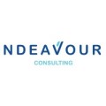 NDEAVOUR CONSULTING