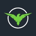 Hawk Notch Agency