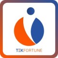 Tek Fortune