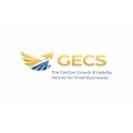BidStrike x GECS GovCon