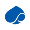 Capgemini Technology Services