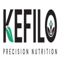 Kefilo