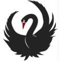 Black Swans Exist