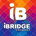 Ibridgetechsoft