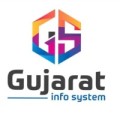 GUJARAT INFO SYSTEM PVT LTD