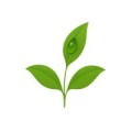 GreenLeaf Hub Enterprises