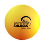 Grupo Salinas