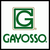 Gayosso corporativo