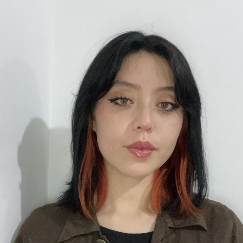 Erika Jussianny Rios Rincon