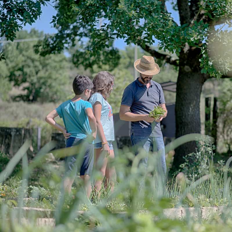 agriturismo-umbria-relax-orto