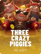 Three Crazy Piggies