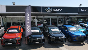 Tynan LDV Kirrawee