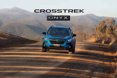 Dark, daring, and ready to roam. Image