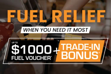 Macarthur Automotive Narellan I Fuel Relief Image