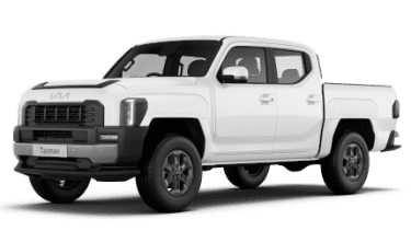 Tasman Dual Cab Pick-Up SX Image