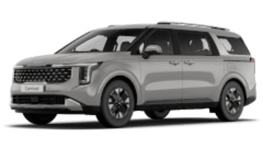 <p>Carnival S Hybrid Image