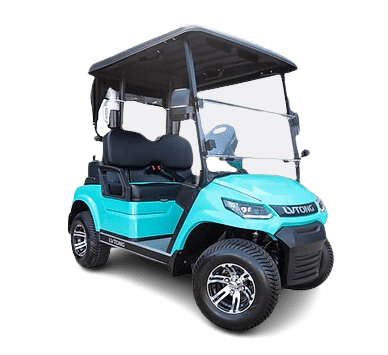  2 Seater Cart