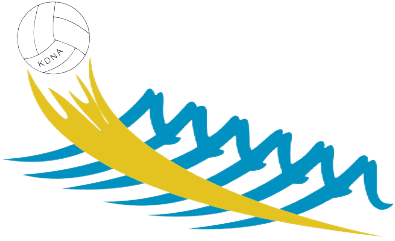 Kingston & District Netball Association Image