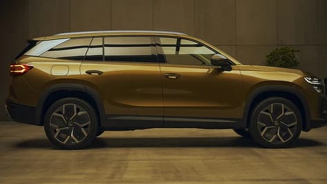 Large (250+ vehicles) Image