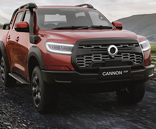 GWM Haval Image