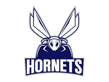Allsports Hornets Image