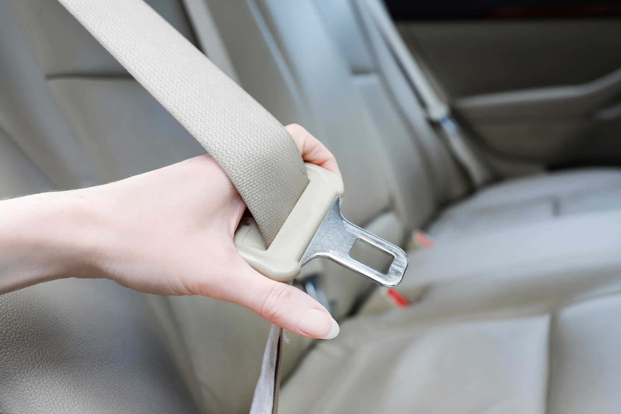 Seatbelts Image