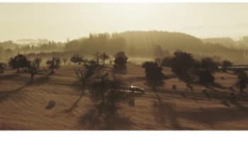 Reliable Performance in Harsh Conditions