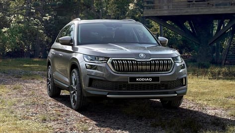 Large (250+ vehicles) Image