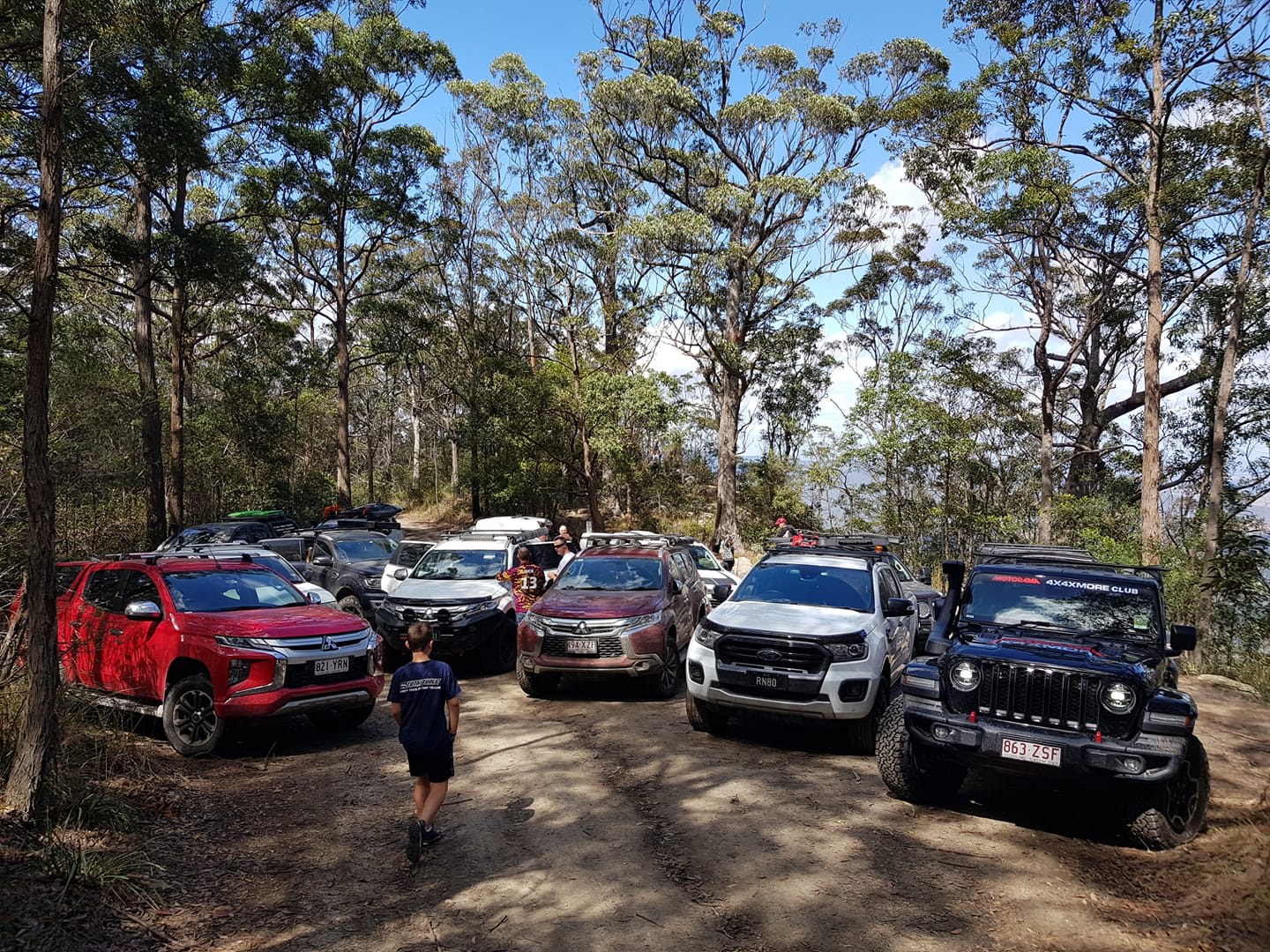 4WDs in the bush