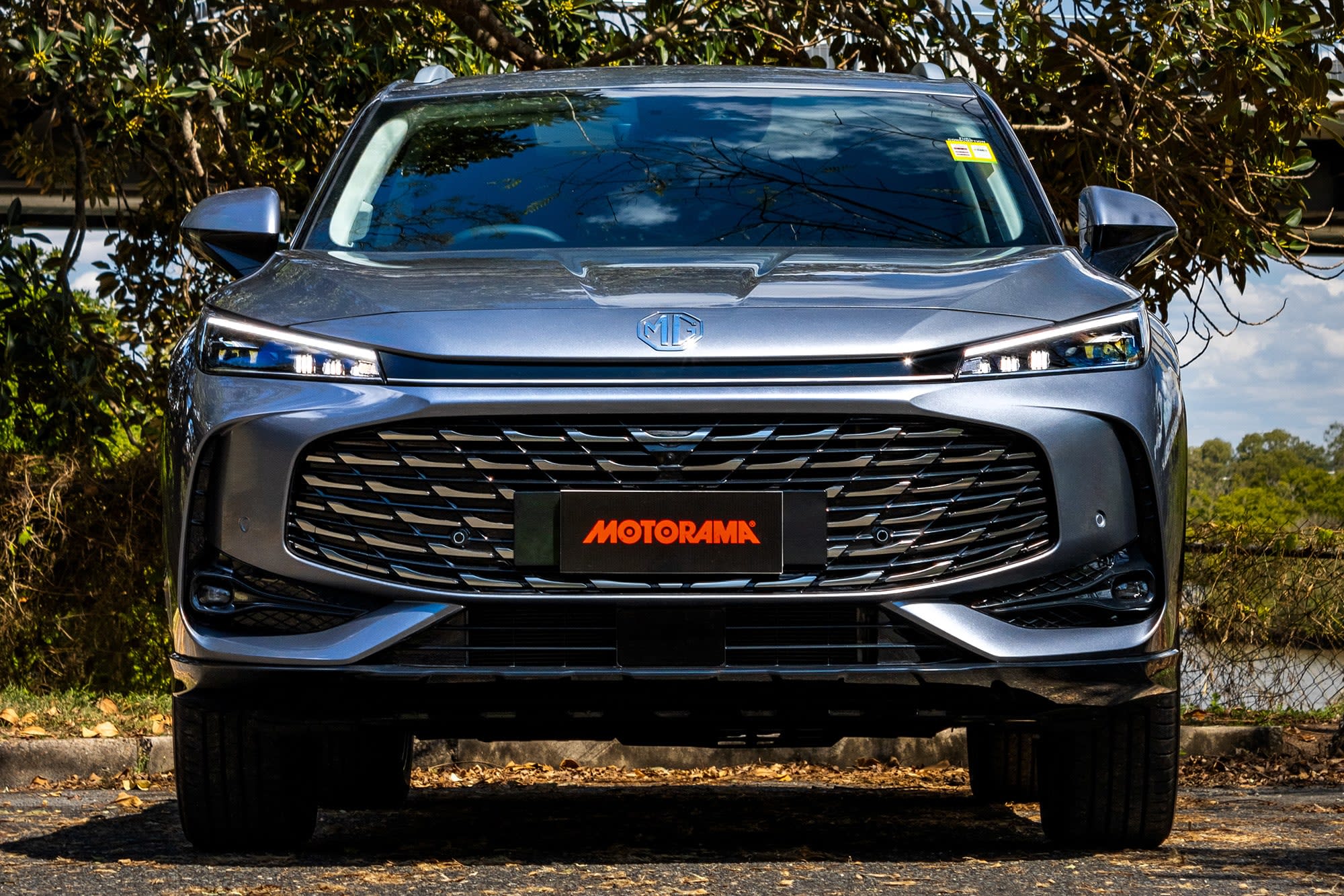 Looking for something a little bigger? Image