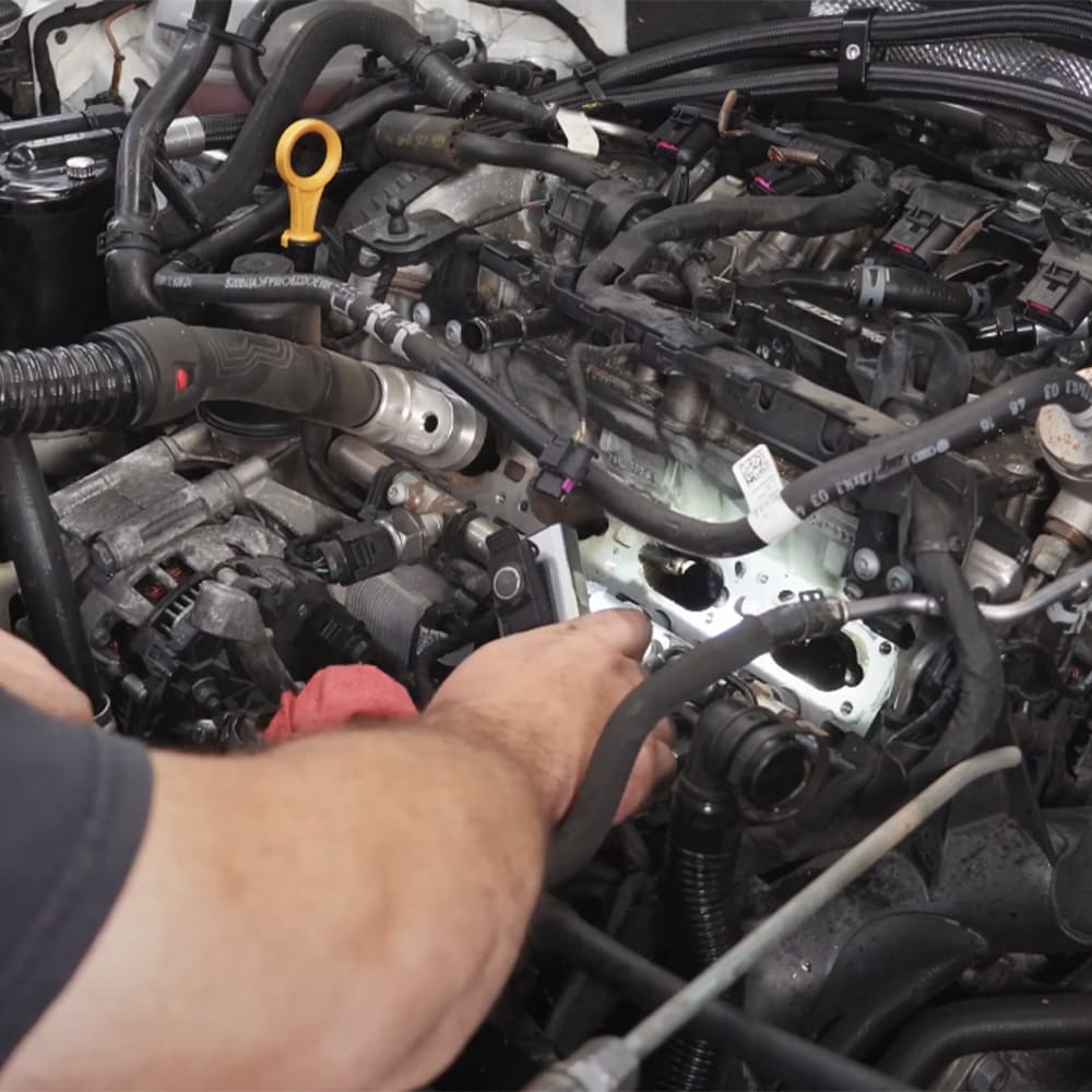 Walnut Blasting Image