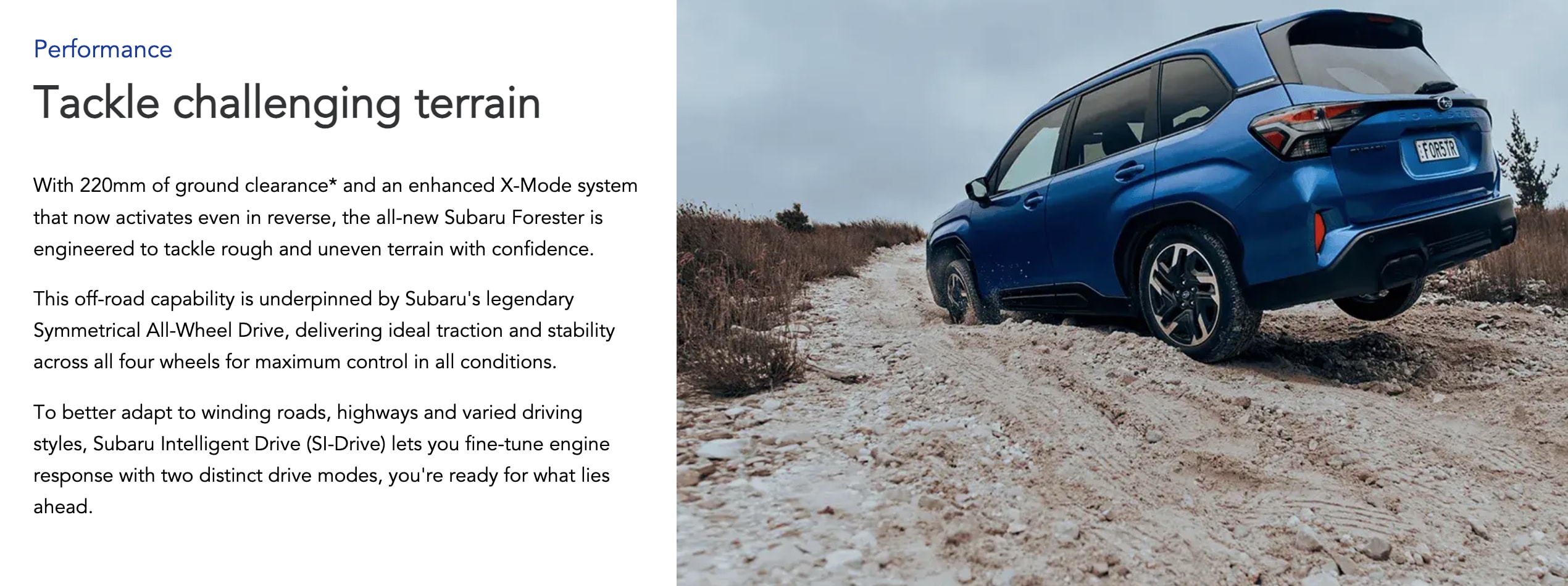 slider image