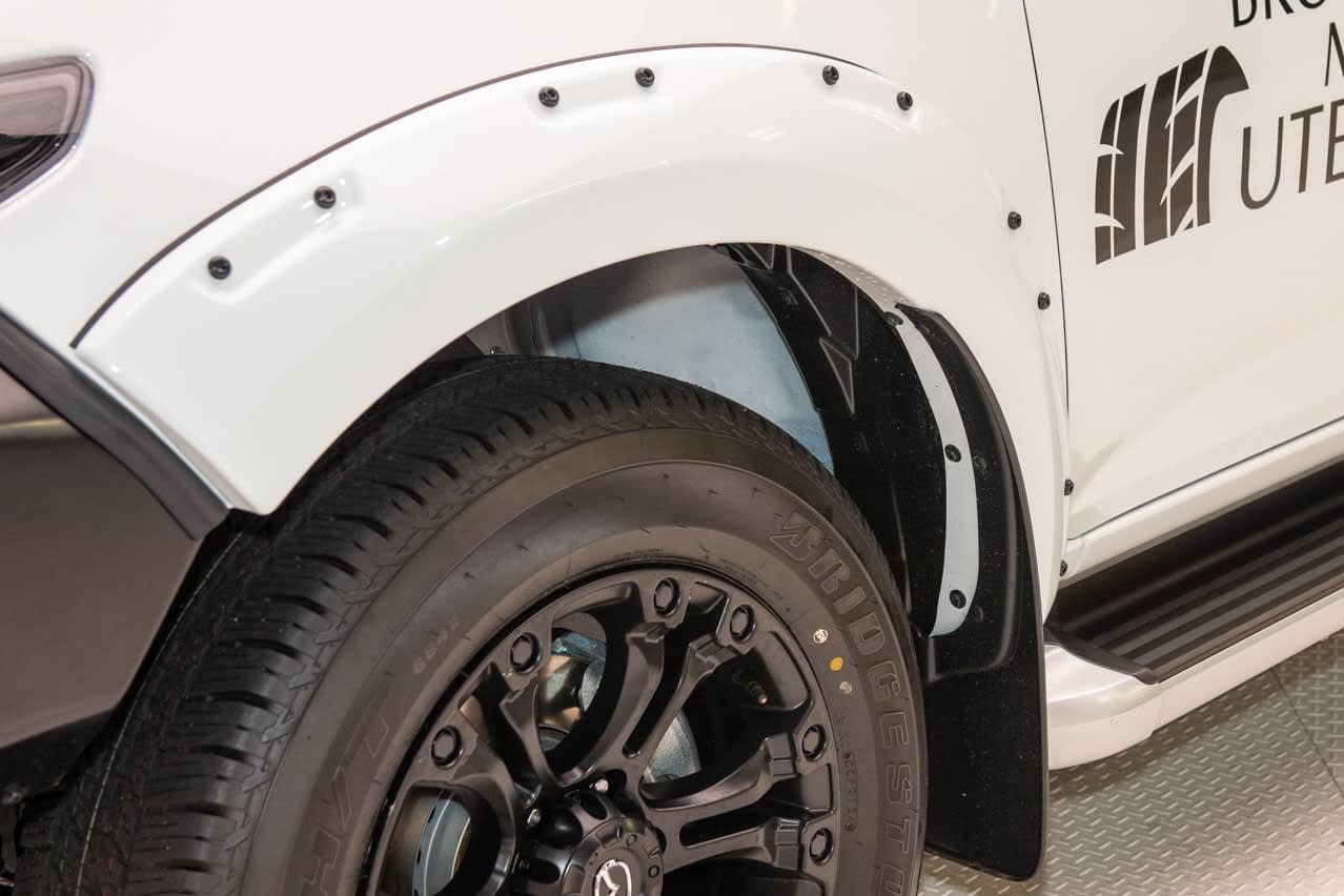 Fender Flares (Body Coloured - Ice White) Image