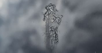 BAT DROPPINGS STAINS Image