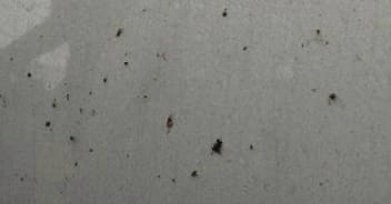 Common Damage Examples Below are some examples of damage on exterior and interior surfaces. Image