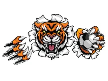 Slacks Creek Tigers FC Image
